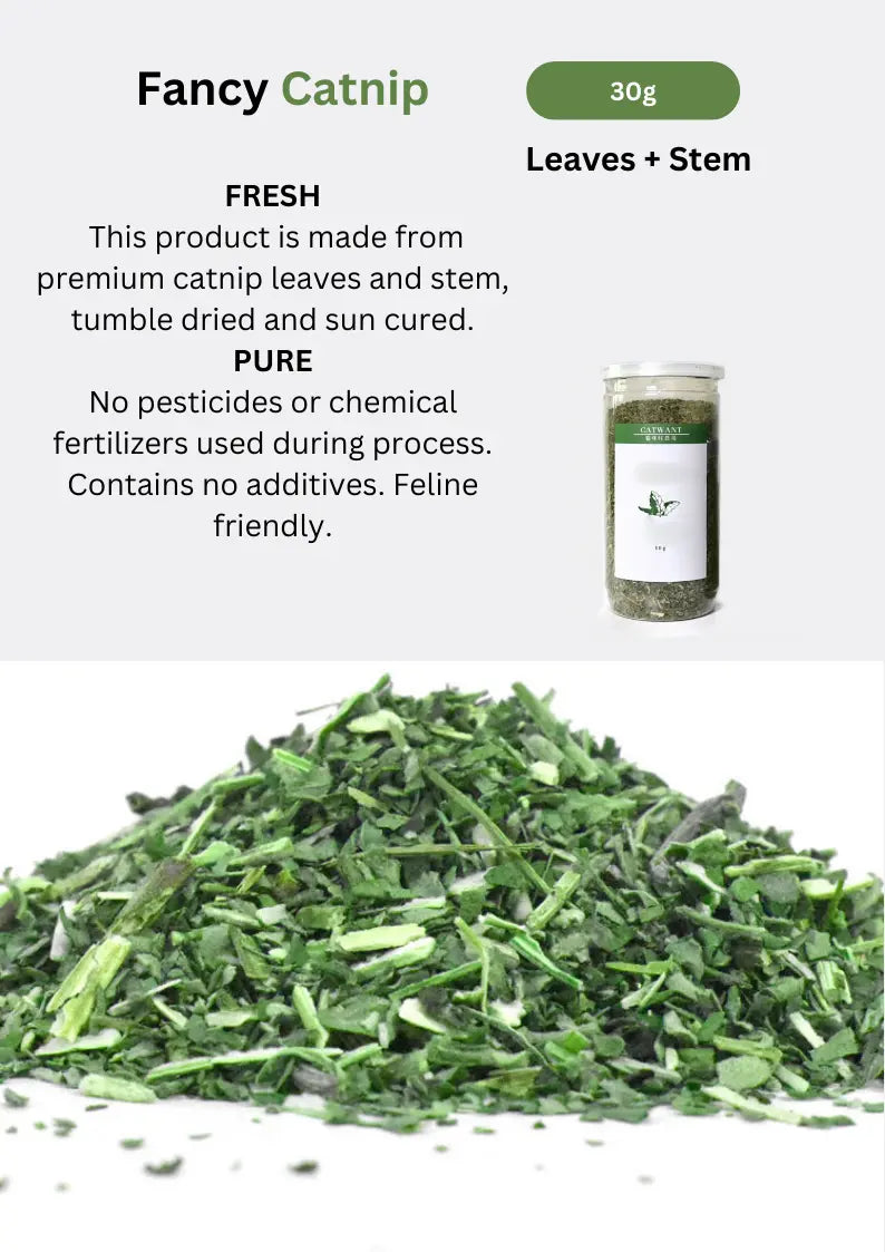 CATWANT premium catnip for cats, showing fresh dried catnip leaves and stems for playful and relaxing feline enjoyment.