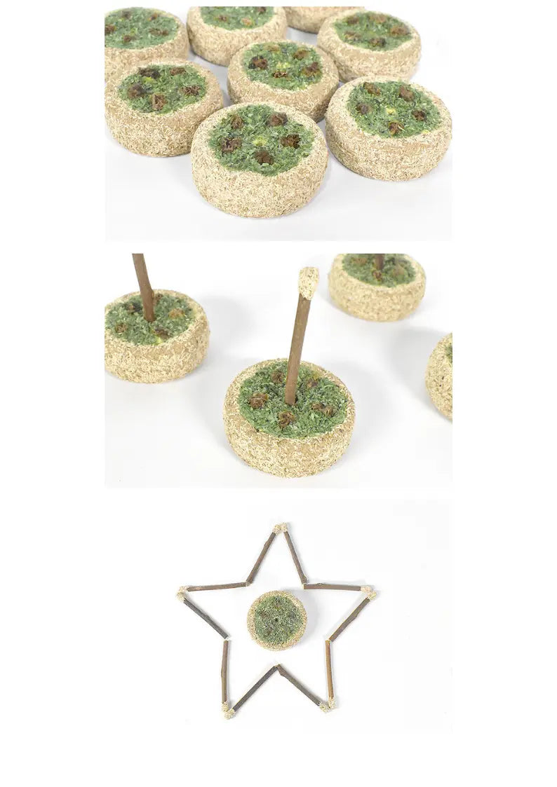Natural Silvervine Birthday Cake toy for cats by CATWANT, featuring a realistic, colorful cake design for feline play and enrichment.