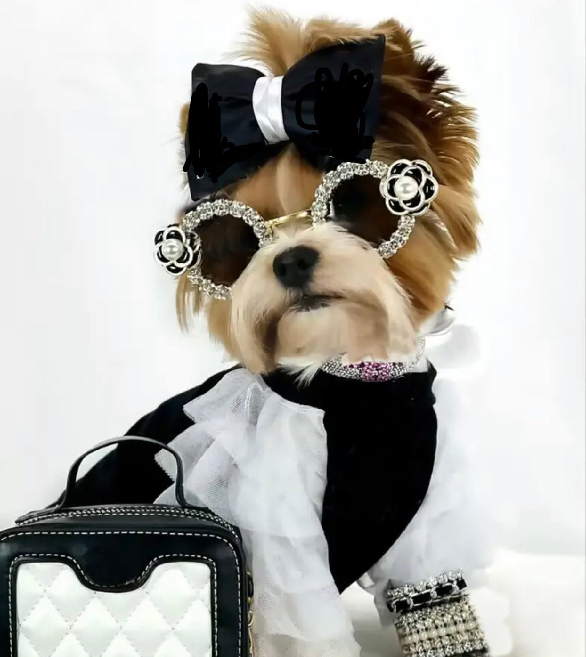 Coco Dress for Dogs | Designer Dog Dress & Matching Bow Set - Shopthatapp.ca