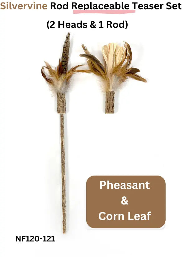 CATWANT Silvervine Rod Cat Teaser Set with 2 replaceable heads and a silvervine-infused rod for engaging feline play.