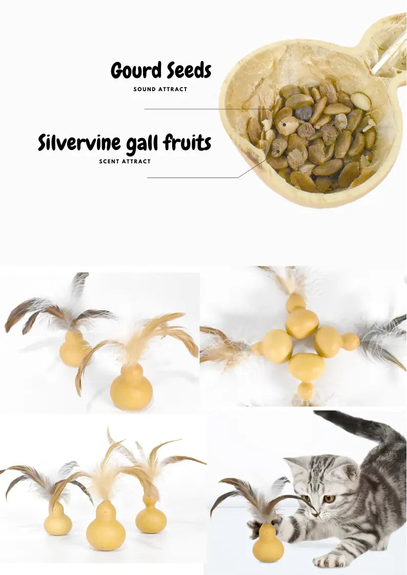 Natural fresh Silvervine Gall fruit gourd toy for cats, by CATWANT, featuring a textured, greenish-brown gourd shape.