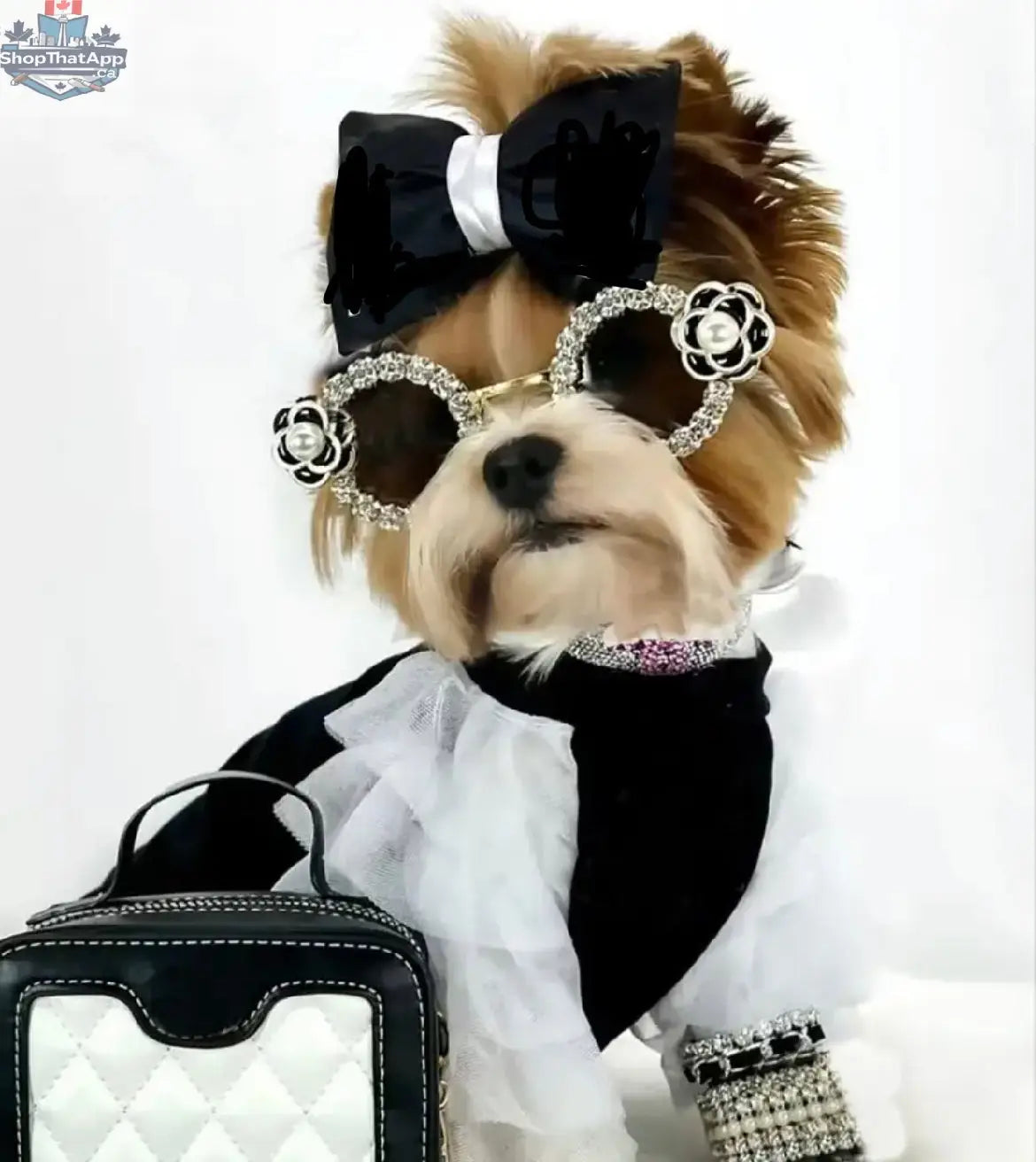 Coco Dress for Dogs | Designer Dog Dress & Matching Bow Set - Shopthatapp.ca