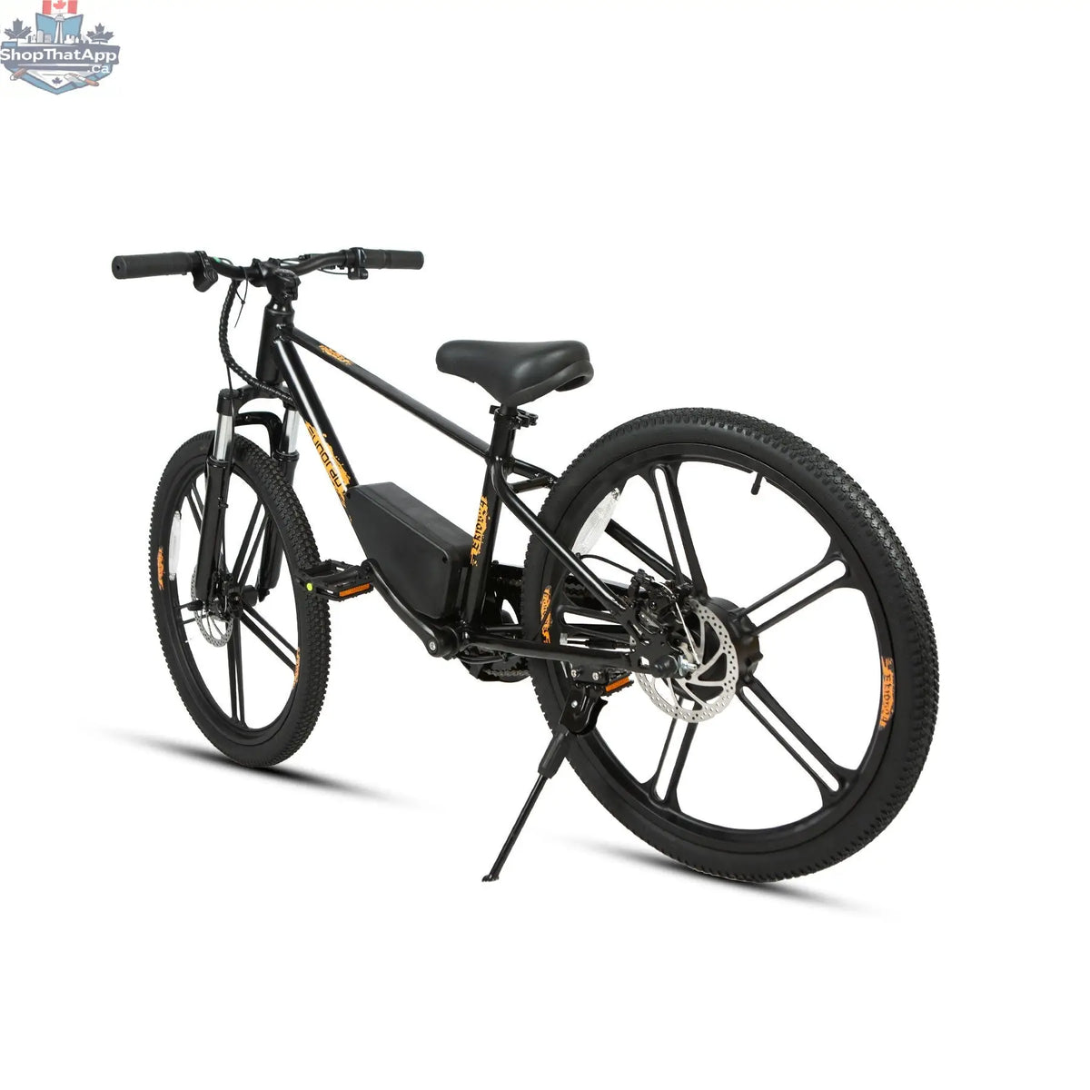 E-Vélo EUNORAU QUEBEC EKIDS24 1.0 kids educational electric bicycle with colorful frame and safety features for young learners.