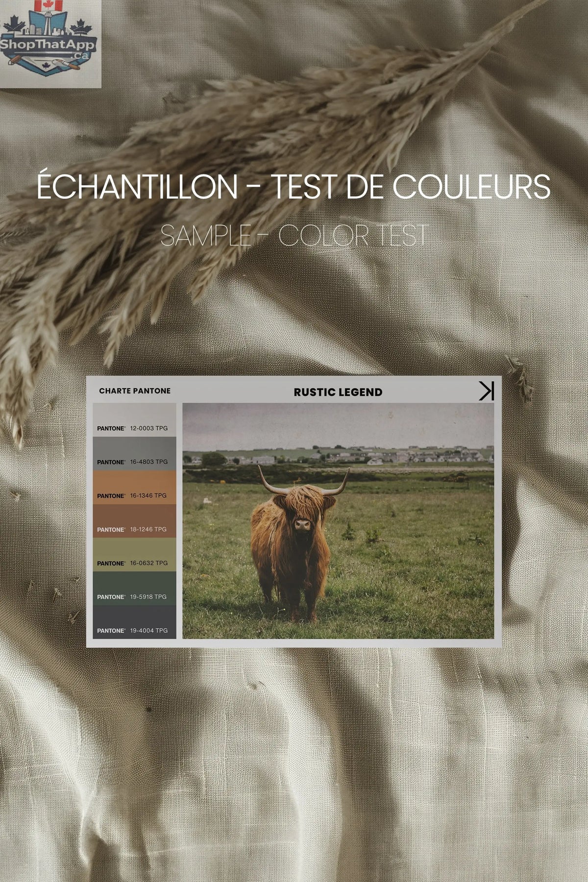 RUSTIC LEGEND - Oeuvre sur toile rustique étirée - Shopthatapp.ca