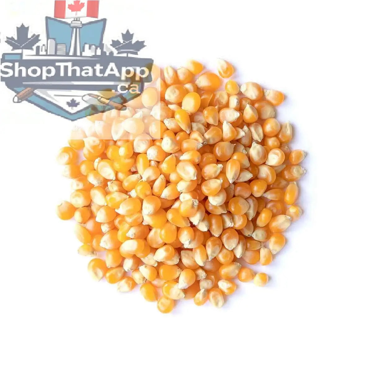 50 lbs bulk premium organic yellow popcorn kernels from The Canada Popcorn Company, showing a large bag of yellow popcorn supplies.