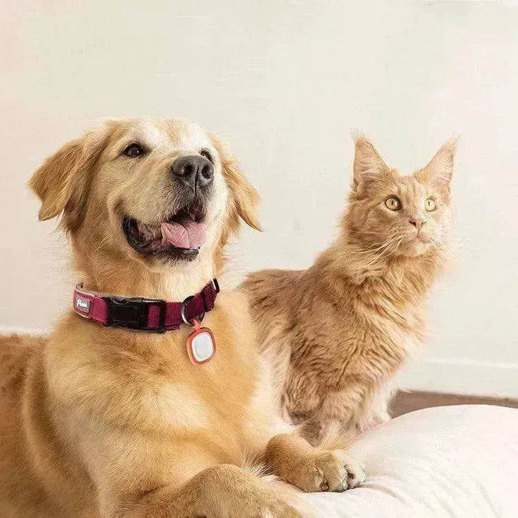 Pet supplies and treats - Shopthatapp.ca