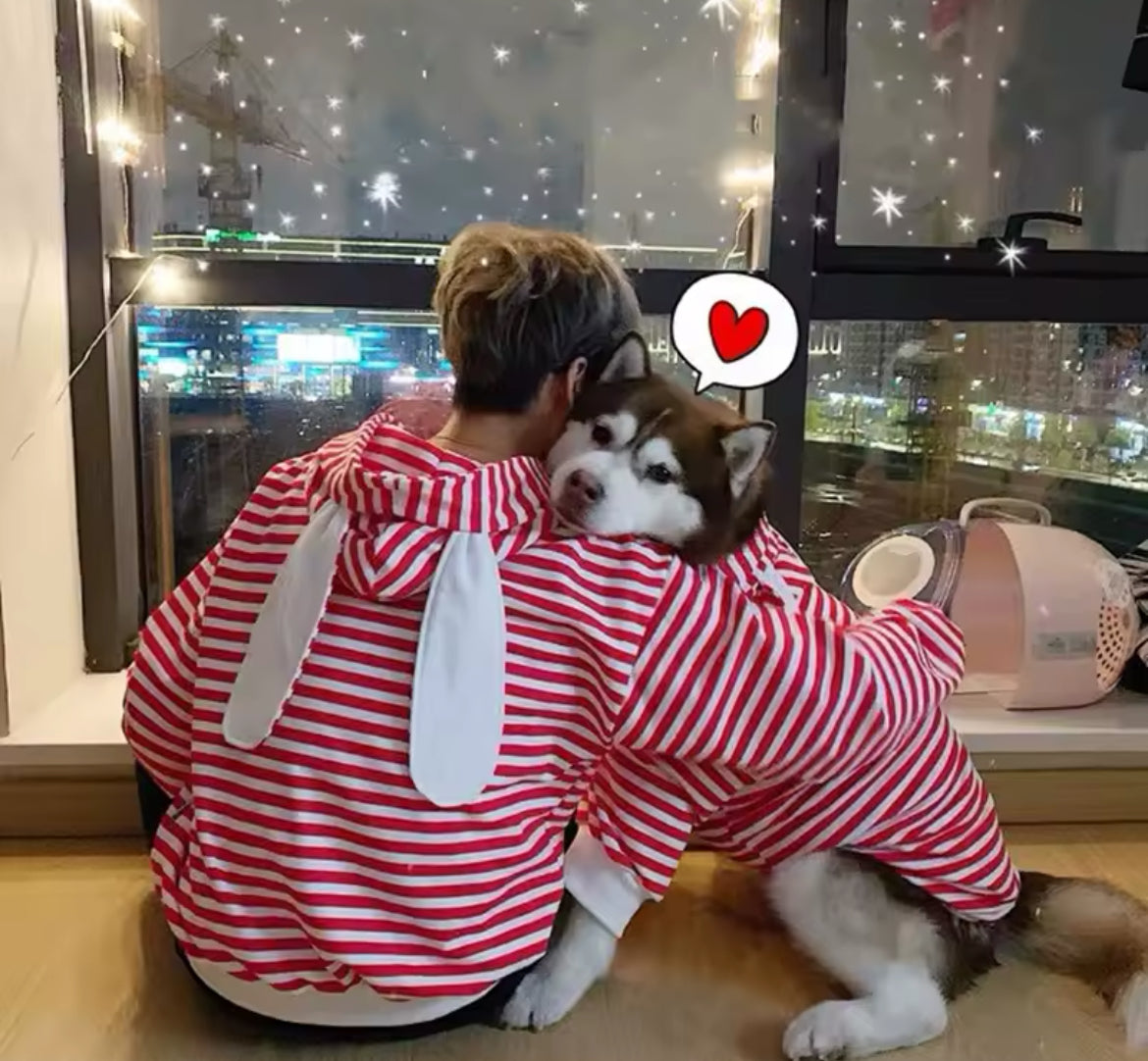 Daddy and Me Bunny Hoodie - Perfect Matching Hoodies for Dog and Owner - Shopthatapp.ca