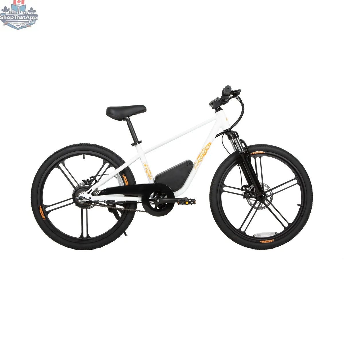 E-Vélo EUNORAU QUEBEC EKIDS24 1.0 electric bicycle for kids with colorful frame and safety features, designed for engaging learning.
