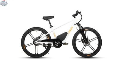 E-Vélo EUNORAU QUEBEC EKIDS24 1.0 electric bicycle for kids, featuring a sleek frame and safety features for engaging learning.