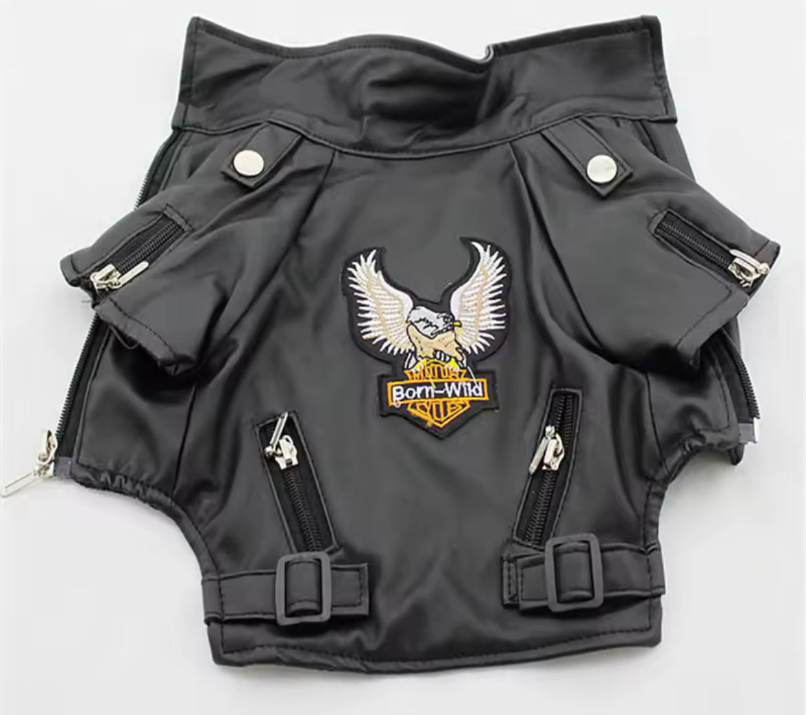 Rockstar Jacket | Stylish Dog Jacket & Fashion Pet Outerwear - Shopthatapp.ca