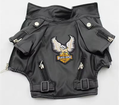 Rockstar Jacket | Stylish Dog Jacket & Fashion Pet Outerwear - Shopthatapp.ca