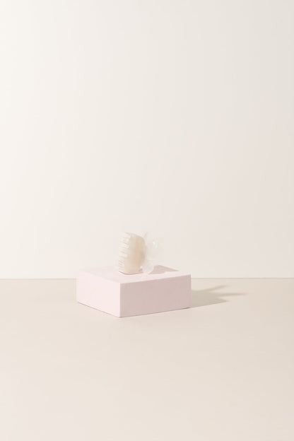 The Butterfly Collection - Shopthatapp.ca
