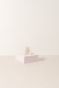 The Butterfly Collection - Shopthatapp.ca