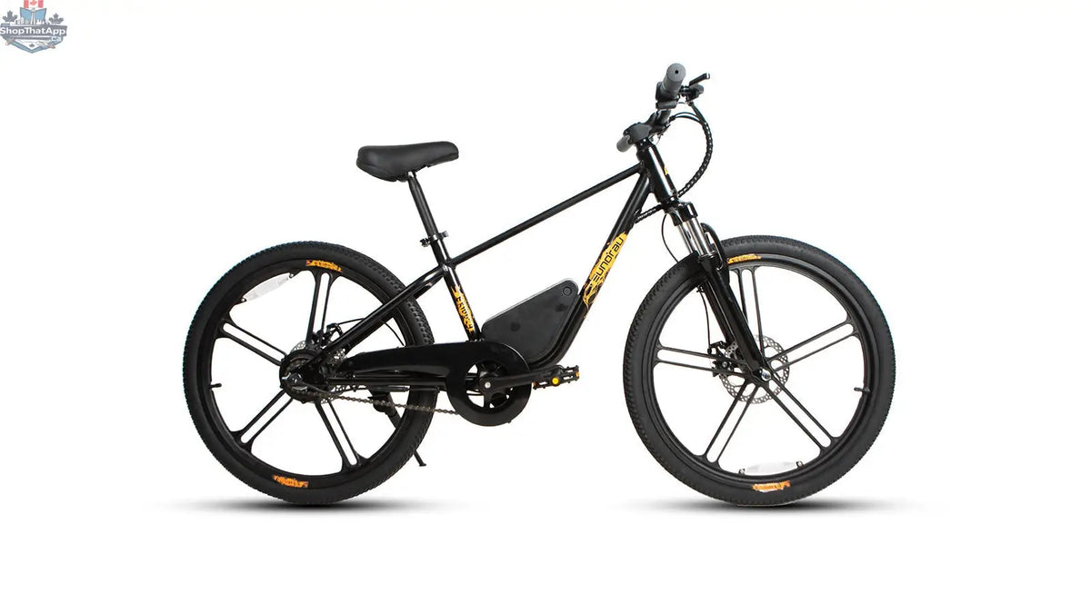 Kids educational electric bicycle by E-Vélo EUNORAU QUEBEC, designed for engaging learning and outdoor fun.