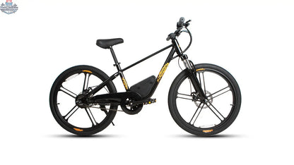 Kids educational electric bicycle by E-Vélo EUNORAU QUEBEC, designed for engaging learning and outdoor fun.