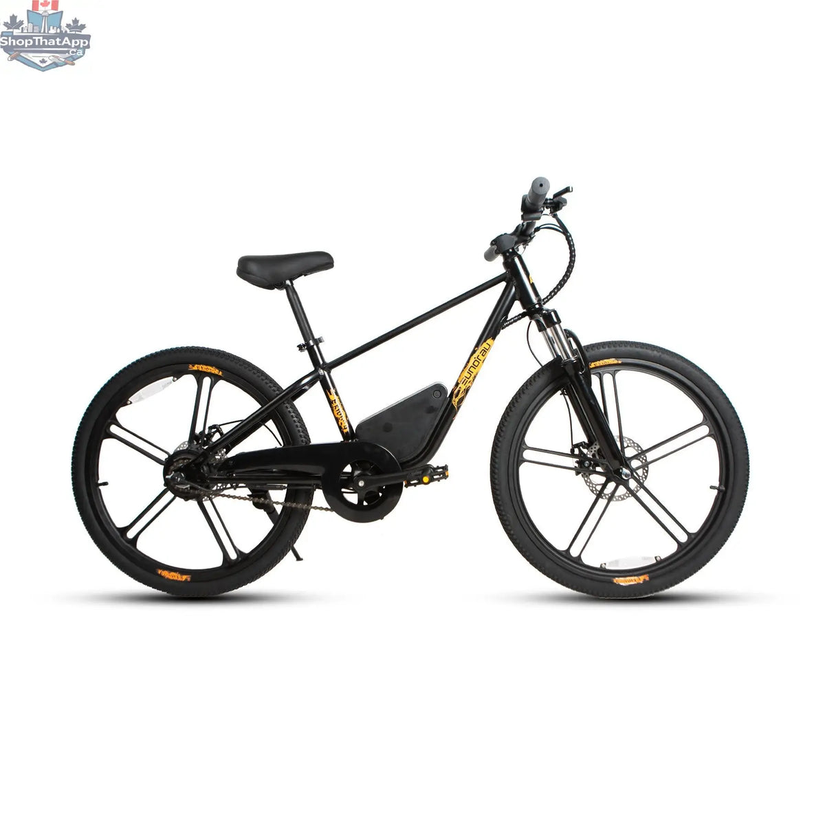 Electric bicycle for kids, E-Vélo EUNORAU QUEBEC, with colorful frame and safety features, designed for engaging learning.