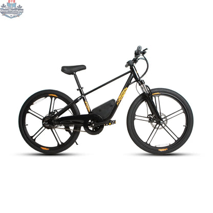 Electric bicycle for kids, E-Vélo EUNORAU QUEBEC, with colorful frame and safety features, designed for engaging learning.