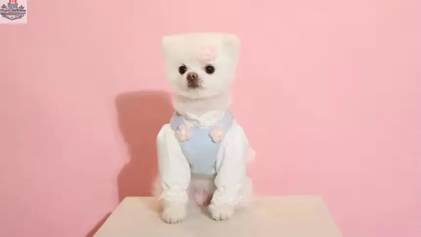 Baby Blue Easter Bunny Outfit – Easter Dog Hat Set - Shopthatapp.ca