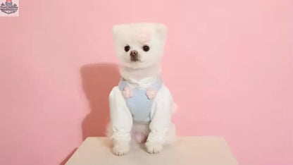 Baby Blue Easter Bunny Outfit – Easter Dog Hat Set - Shopthatapp.ca