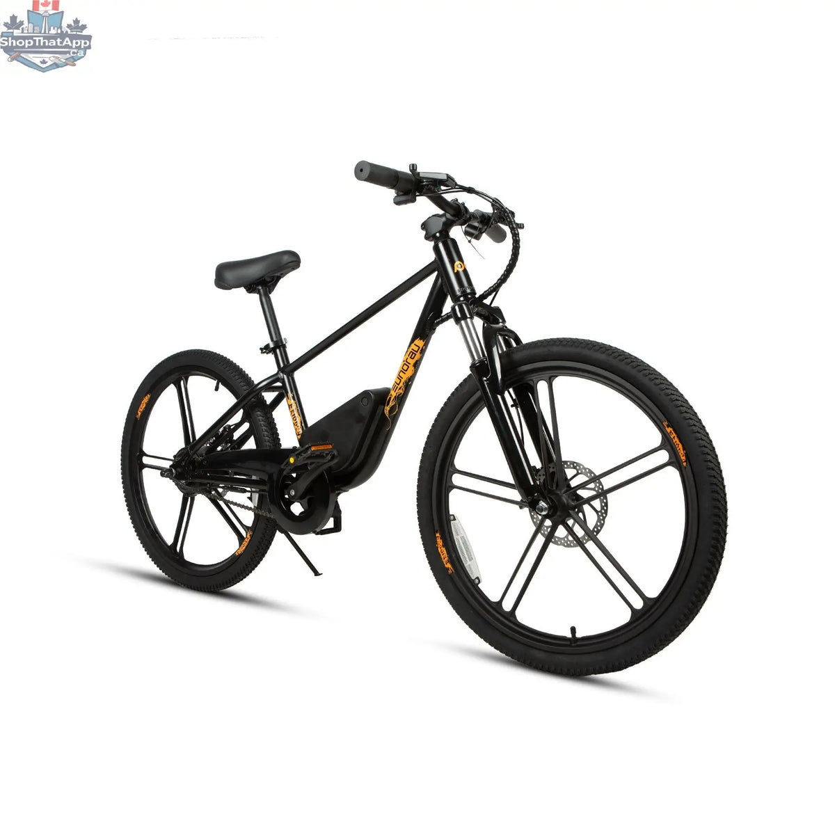 E-Vélo EUNORAU QUEBEC EKIDS24 1.0 electric bicycle for kids, featuring a compact frame and colorful design for engaging learning.