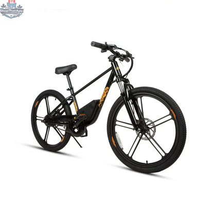 E-Vélo EUNORAU QUEBEC EKIDS24 1.0 electric bicycle for kids, featuring a compact frame and colorful design for engaging learning.