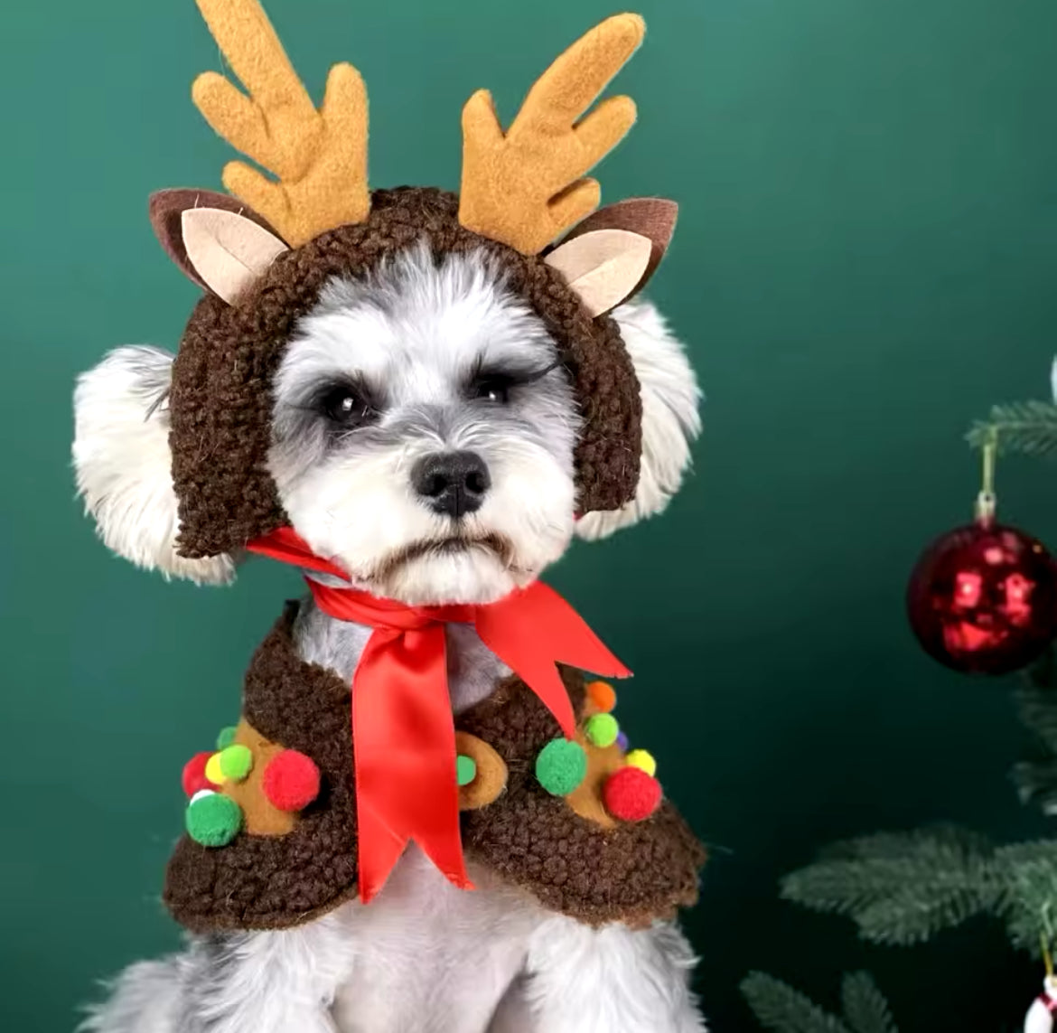 Reindeer Christmas Dog Cape Set - Luxury Holiday Outfit for Dogs - Shopthatapp.ca