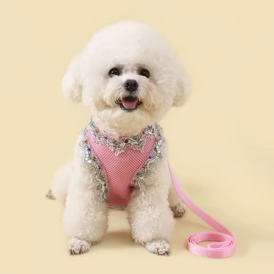 Crystal Dog Harness and Leash Set - Luxury Lace Designer Pet Wear - Shopthatapp.ca