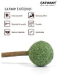 Natural Catnip Silvervine Lollipop toy by CATWANT, designed for cat fun and stimulation with fresh, natural ingredients.