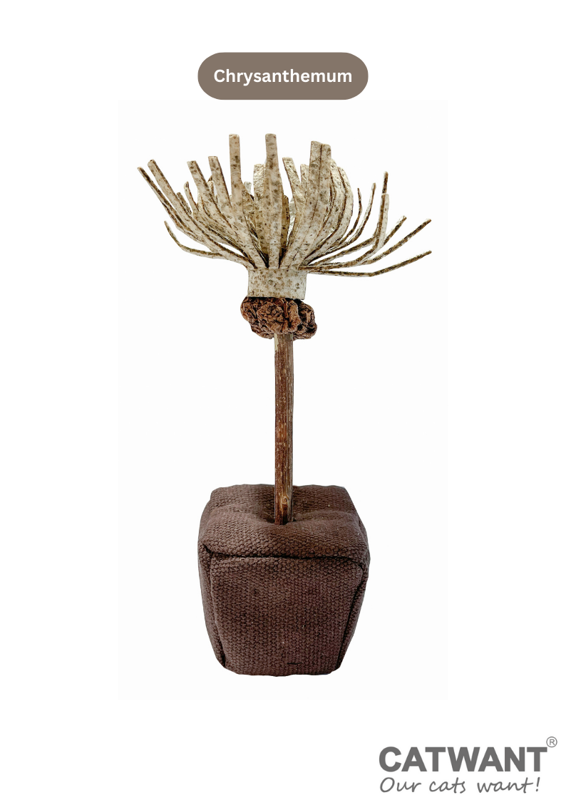 Silvervine Birthday Cake Catnip Flower Toy for Feline Festivities - Shopthatapp.ca
