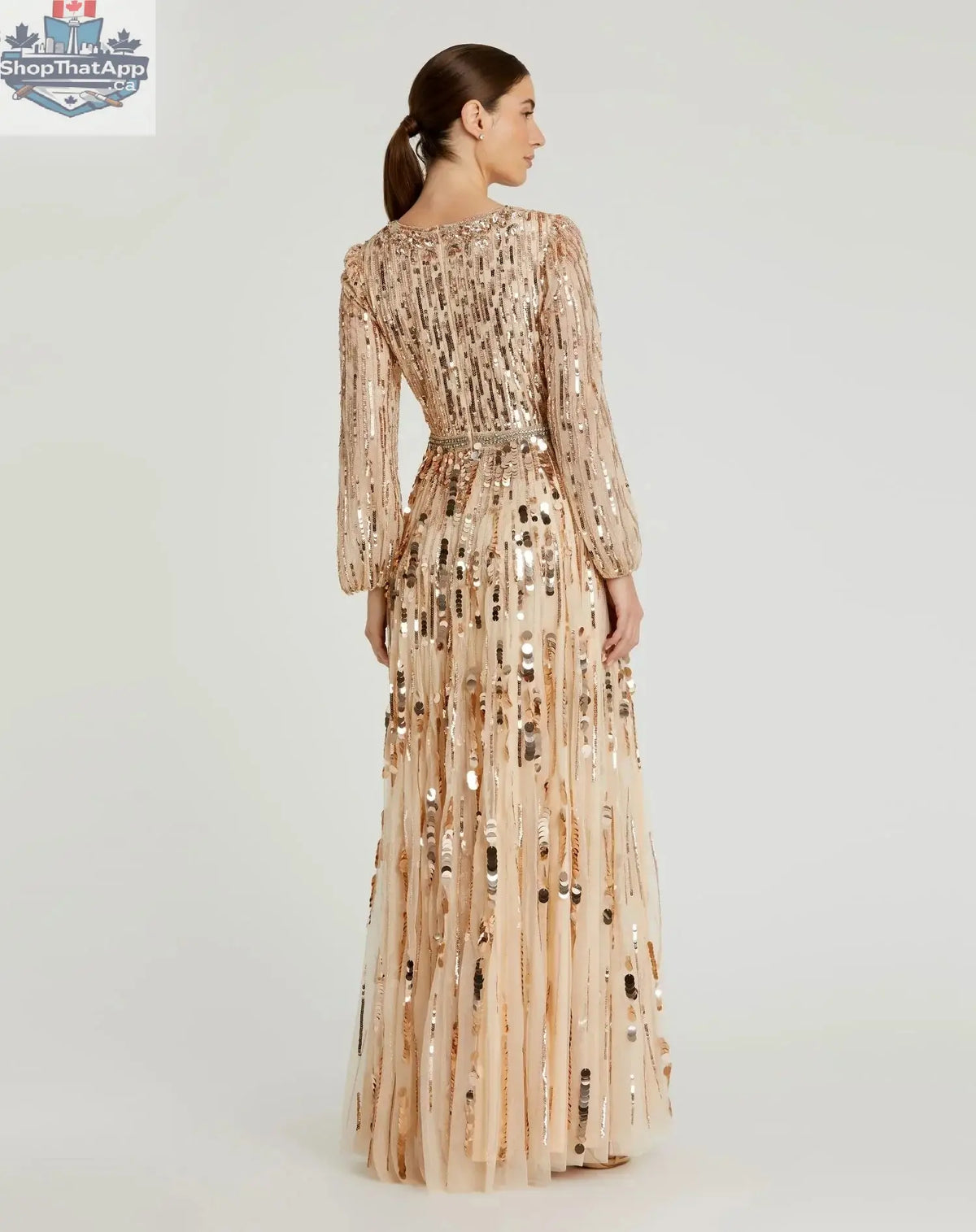 Elegant Threads embellished mesh long sleeve evening gown in bisque and black, featuring intricate detailing for elegant evening wear.
