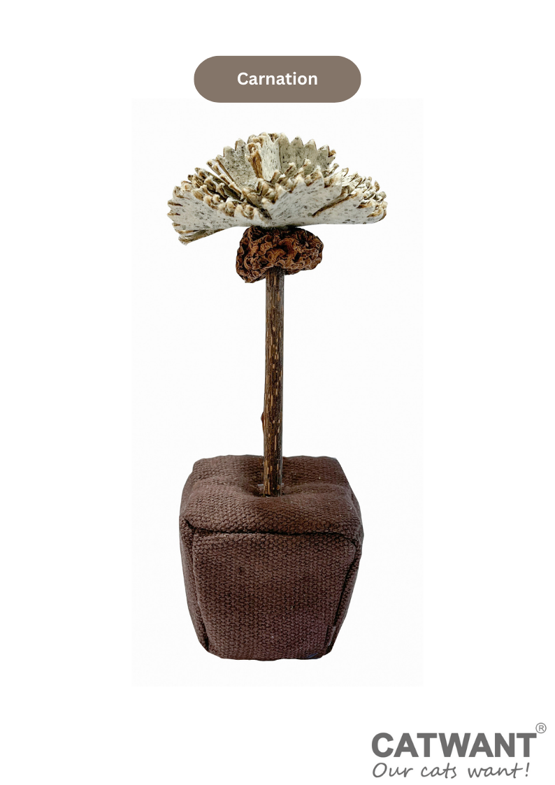 Silvervine Birthday Cake Catnip Flower Toy for Feline Festivities - Shopthatapp.ca