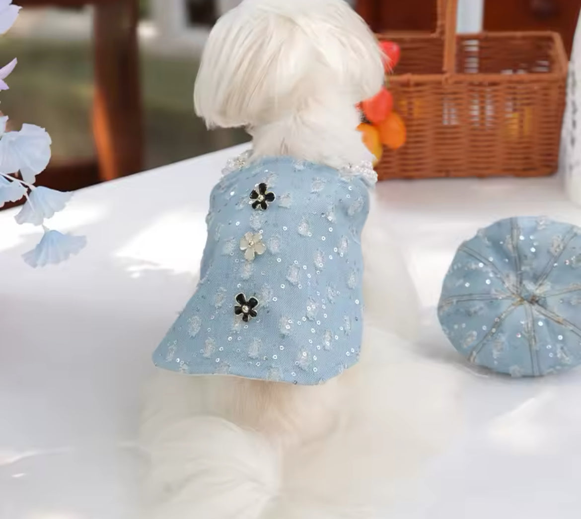 Cinderella Dog Dress Set - Luxury Fantasy Outfit with Hat for Dogs - Shopthatapp.ca