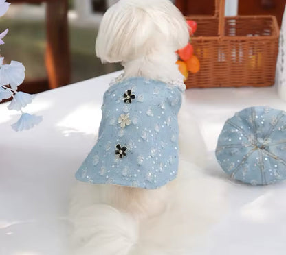 Cinderella Dog Dress Set - Luxury Fantasy Outfit with Hat for Dogs - Shopthatapp.ca