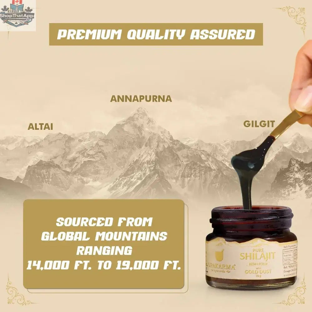 Pure Shilajit resin with gold dust from Prithvi Mart, showcasing the dark, sticky resin infused with shimmering gold particles.