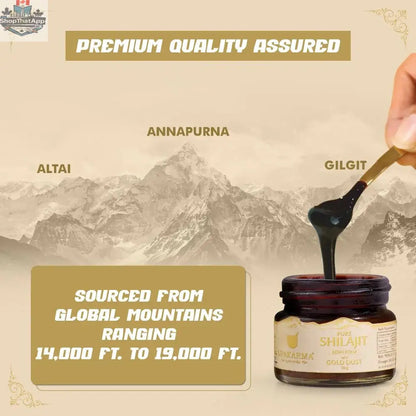 Pure Shilajit resin with gold dust from Prithvi Mart, showcasing the dark, sticky resin infused with shimmering gold particles.