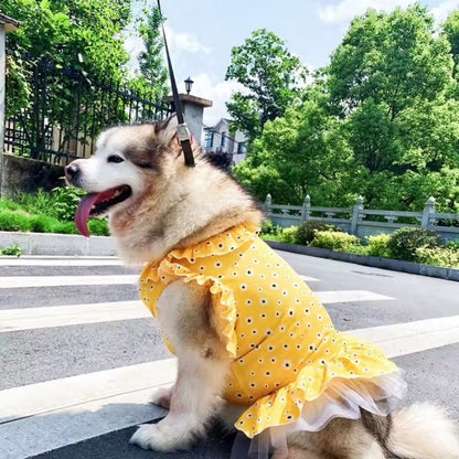 Daisy Spring Dress - Floral Dog Dress Large Breeds for Stylish Pets - Shopthatapp.ca