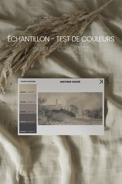VESTIGES VOILÉS toile étirée - Oeuvre d'art unique pour une décoration intérieure élégante - Shopthatapp.ca