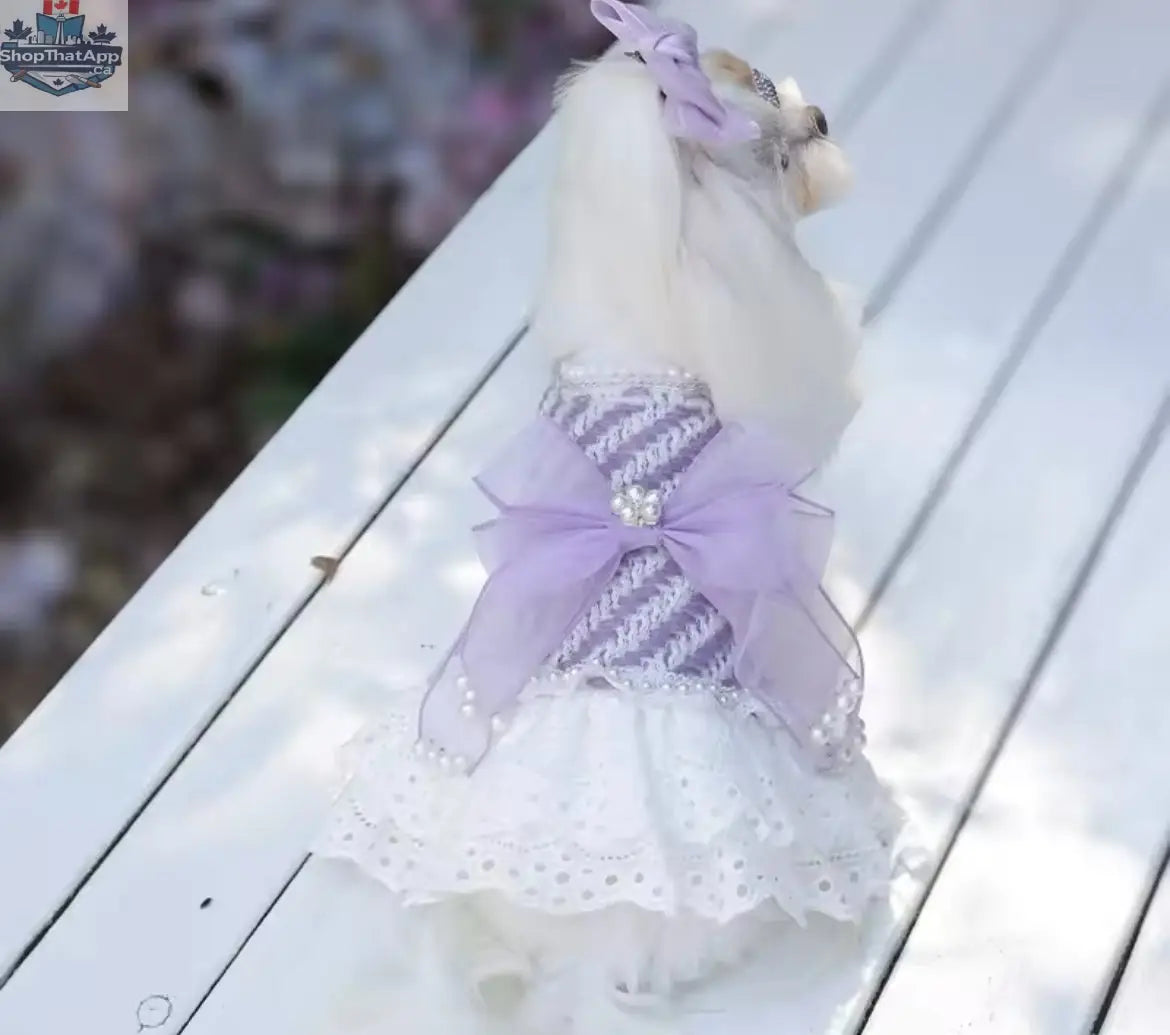 Lavender Dream Dress – Luxury Dog Dress - Shopthatapp.ca