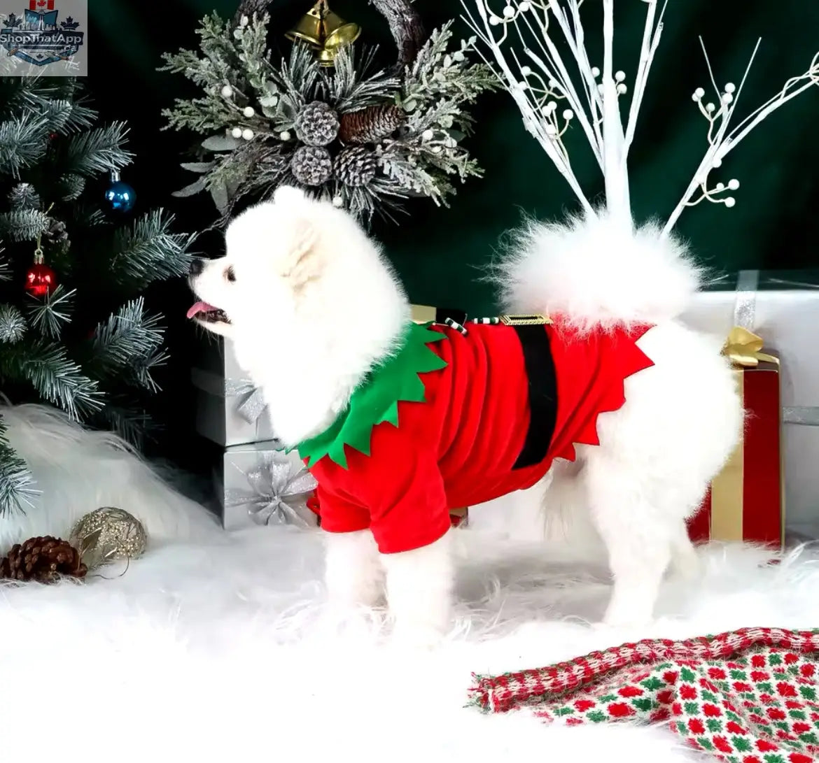 Elf Christmas Outfit for Dogs - Festive Holiday Costume for Your Furry Friend - Shopthatapp.ca