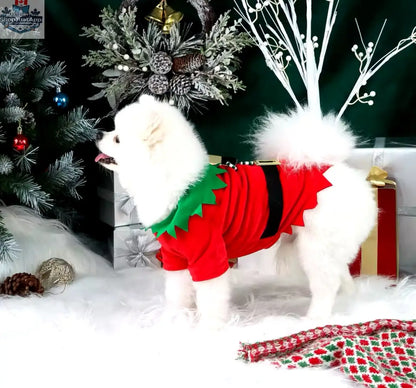 Elf Christmas Outfit for Dogs - Festive Holiday Costume for Your Furry Friend - Shopthatapp.ca