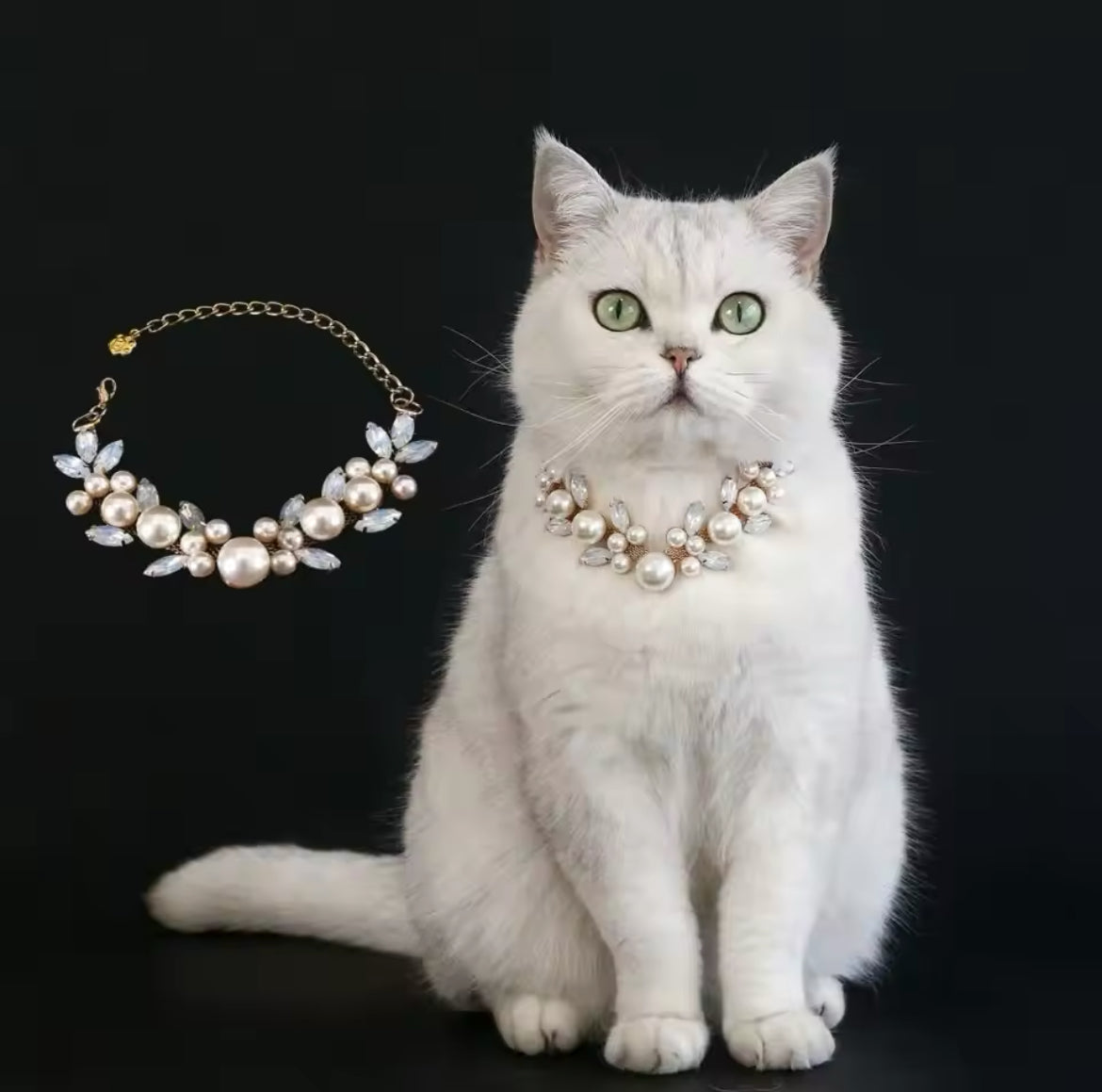 Queen of Pearls Necklace – Luxury Pearl Pet Necklace - Shopthatapp.ca