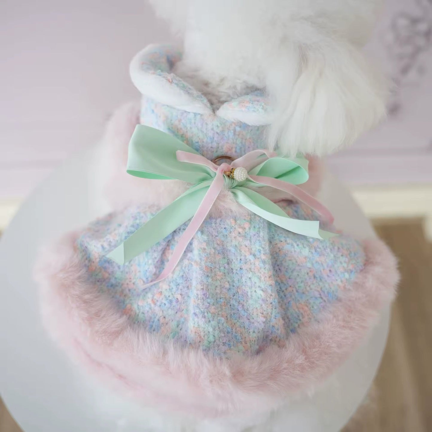 Princessa Easter Coat for Dogs | Luxury Spring Dog Outfit - Shopthatapp.ca