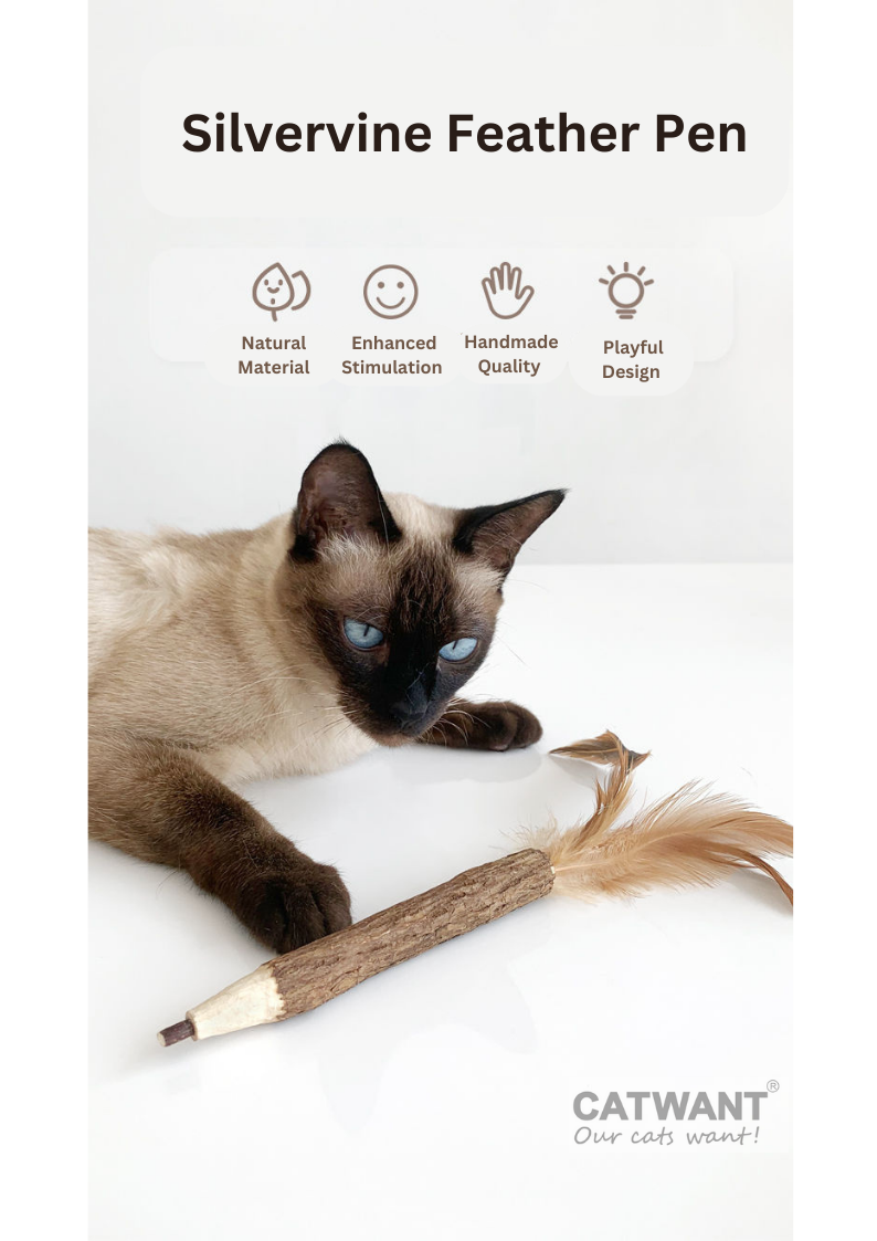Silvervine Feather Pen - Shopthatapp.ca