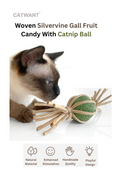 Woven Silvervine Candy with Catnip Ball - Irresistible Treat for Cats - Shopthatapp.ca