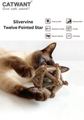 Silvervine Twelve Pointed Star - Shopthatapp.ca