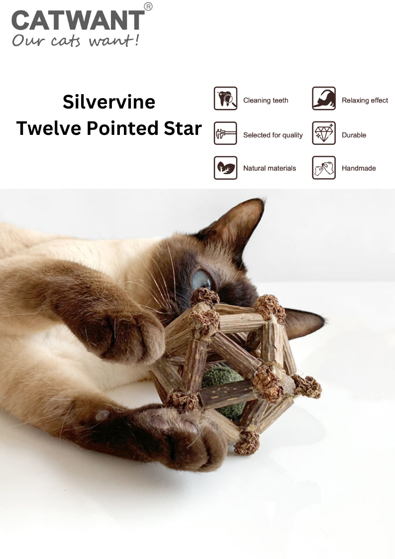 Silvervine Twelve Pointed Star - Shopthatapp.ca