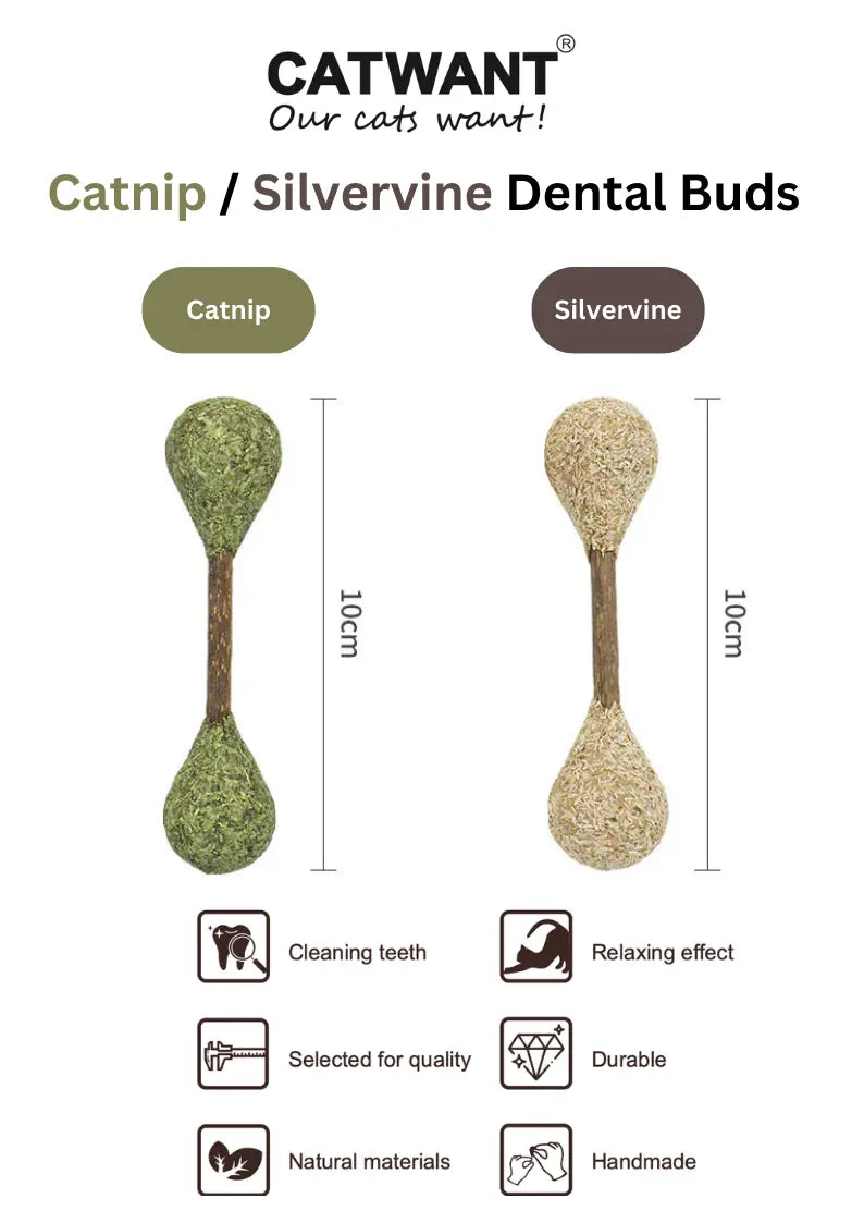 CATWANT Catnip Dental Buds, natural silvervine chews for cats, showing fresh, textured toys designed for healthy teeth.