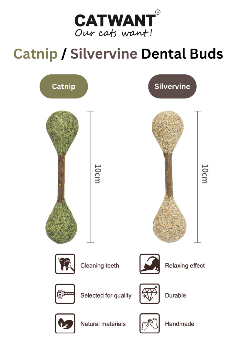 Catnip Dental Buds - Natural Silvervine Chews for Healthy Teeth - Shopthatapp.ca