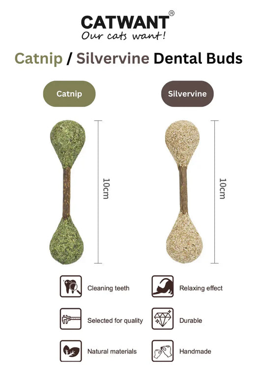 CATWANT Catnip Dental Buds, natural silvervine chews for cats, showing fresh, textured toys designed for healthy teeth.