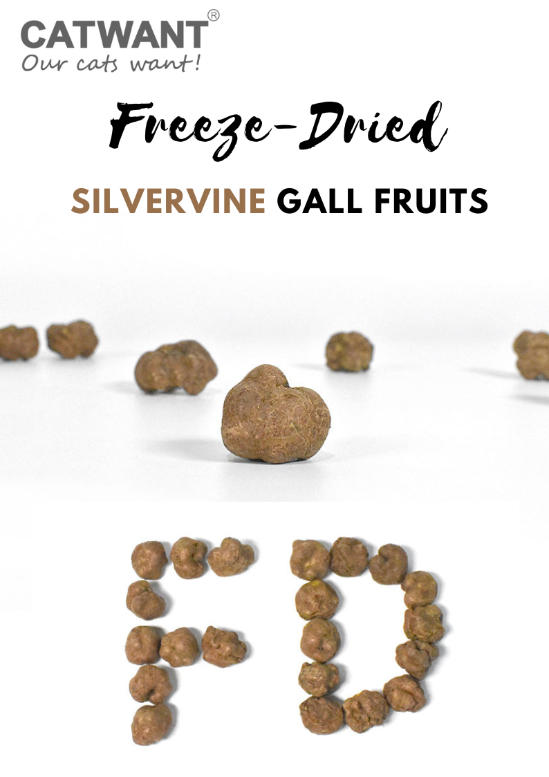 Freeze-Dried Silvervine Fruits 20g - Natural Cat Enrichment Snack - Shopthatapp.ca